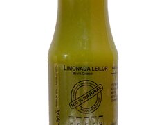 Limonada cu Ghimbir si menta